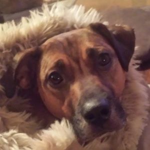 Meet your Posher, Keri